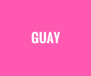 Programa "GUAY"