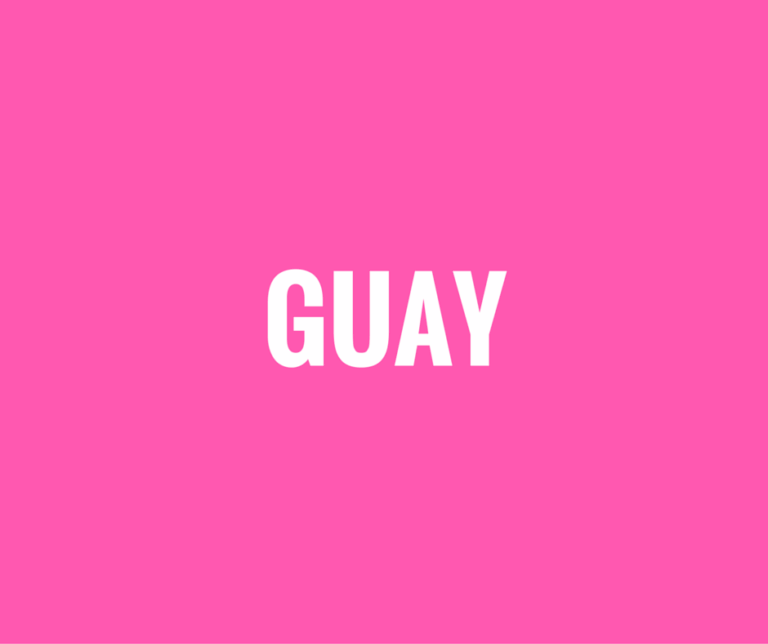 Programa "GUAY"