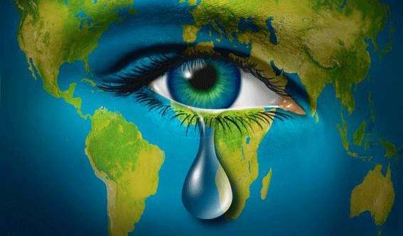 Buenos días 1º MDF:  28/03/19 "El medio ambiente"