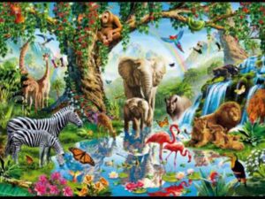 2018-03-14 Cuidar la fauna de nuestro planeta Carla y Maria
