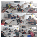 KINGDOMS - 4TH GRADE