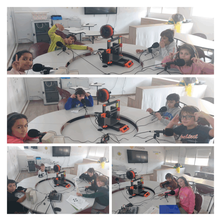 KINGDOMS - 4TH GRADE