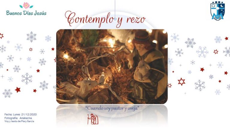 12. Cuando Soy Pastor y Oveja