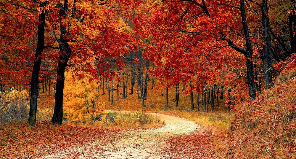 POESIAS DE OTOÑO