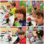 UNIT 6 - ENERGY - 2nd GRADE