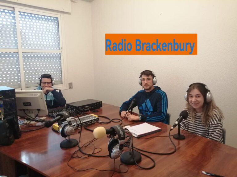 CICLOS FORMATIVOS IES DELGADO BRACKENBURY