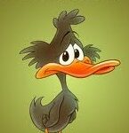 Ciclo de cuentos: El patito feo