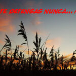 MOMENTOS PARA LA REFLEXIÓN