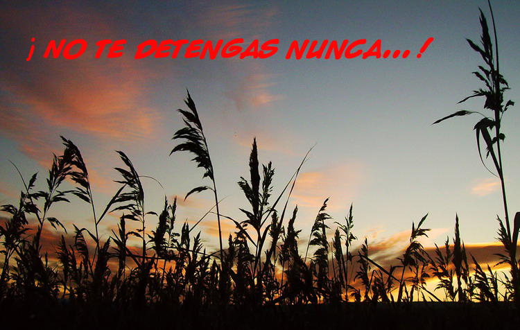 MOMENTOS PARA LA REFLEXIÓN