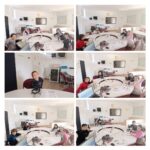 UNIT 4 "ANIMAL" 1º GRADE