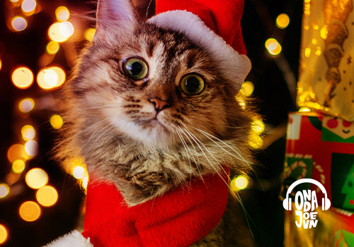 El diablillo de la Navidad