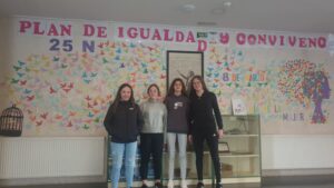 25N Día Internacional de la Eliminación de la Violencia contra las Mujeres