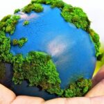Medio Ambiente