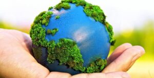 Medio Ambiente