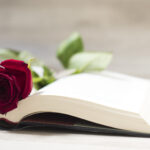 El libro y la rosa