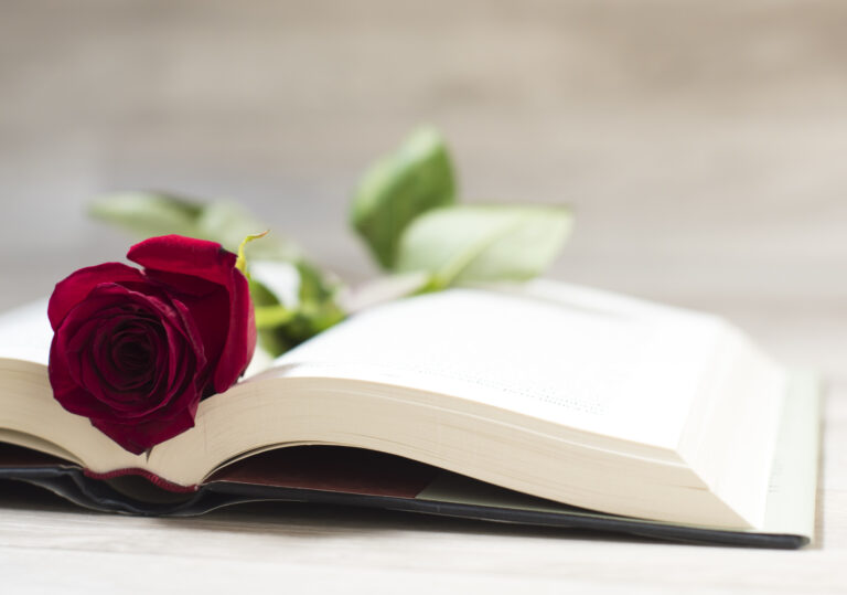 El libro y la rosa