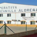 Entrevista sobre la aceituna aloreña en la cooperativa olivarera de Álora