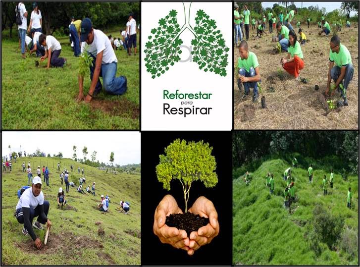 2019-01-18 Claudia y Pablo. La desforestación y la repoblación