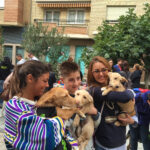 Vivir la Ciudad(Perros)