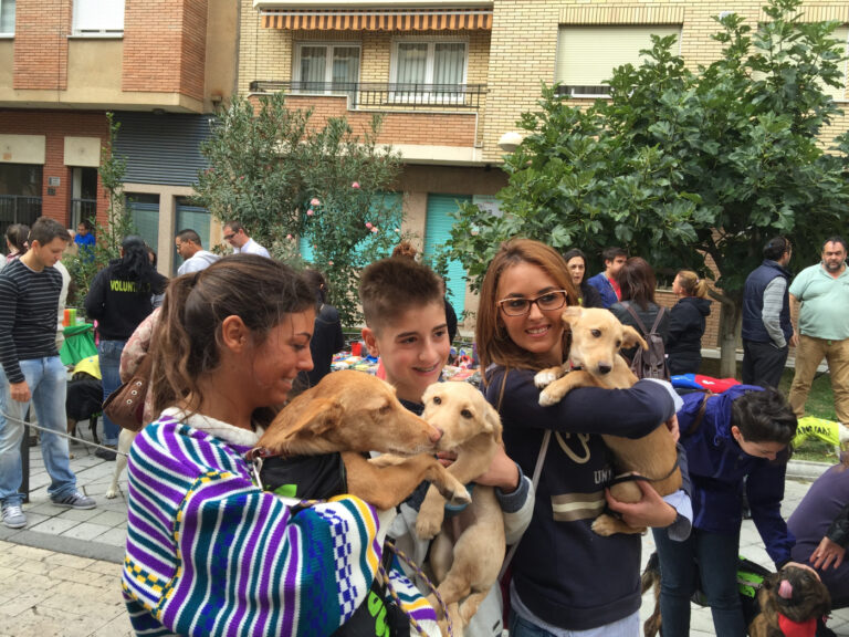 Vivir la Ciudad(Perros)