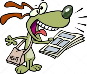 AMPA NEWS.