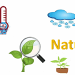 Quinto natural 09-10-18