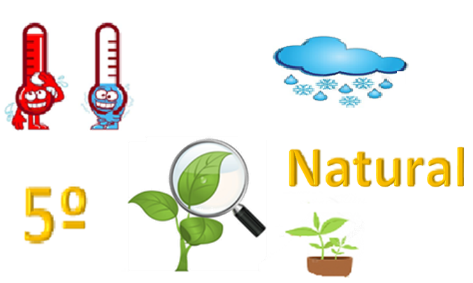 Quinto natural 09-10-18