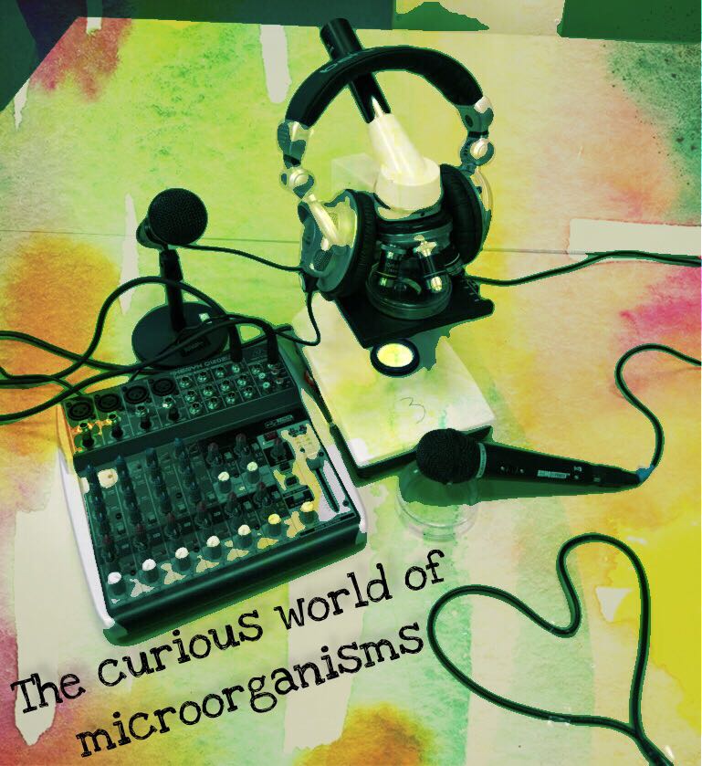 1 ESO A/B  BILINGÜE - BIOLOGY AND GEOLOGY 2017-18. The curious world of microorganisms