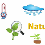 Quinto natural