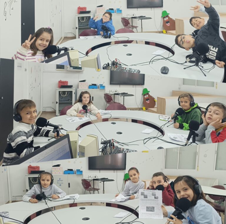 Unit 4 plants  - 2ºA