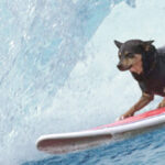 Profesiones extrañas