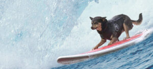 Profesiones extrañas