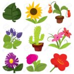 CUÉNTAME UN CUENTO. LAS PLANTAS.