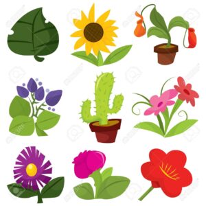 CUÉNTAME UN CUENTO. LAS PLANTAS.