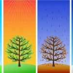 Concurso de las estaciones