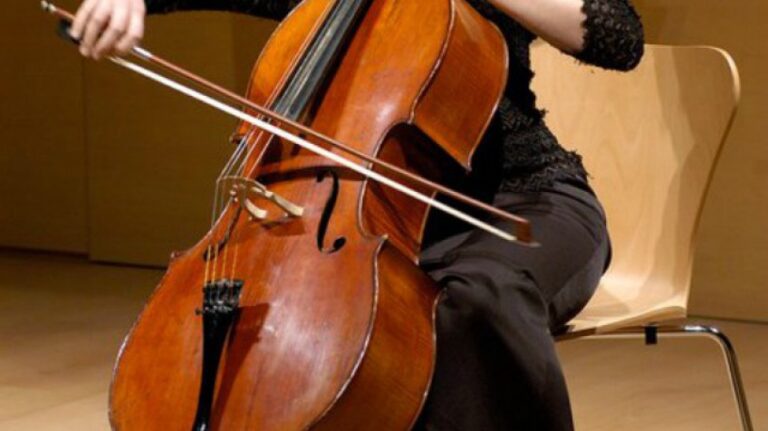 Aprendiendo sobre el violonchelo.