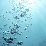 2019-01-18 Irene y Jose Pablo La producioón de oxigeno bajo el agua