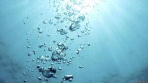 2019-01-18 Irene y Jose Pablo La producioón de oxigeno bajo el agua