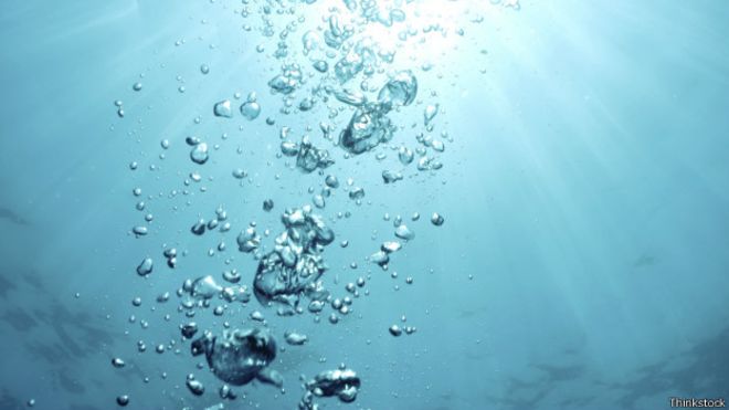 2019-01-18 Irene y Jose Pablo La producioón de oxigeno bajo el agua