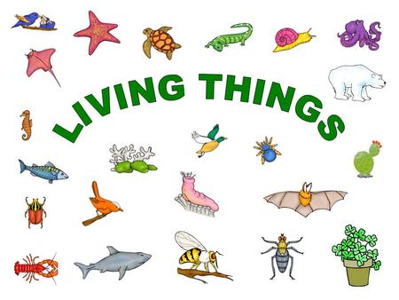 Seres Vivos- Living things