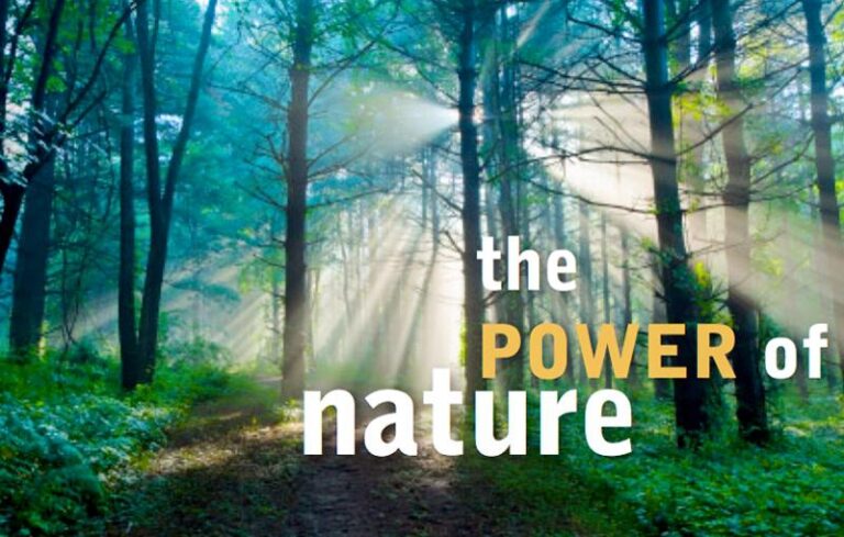"Natura Power"