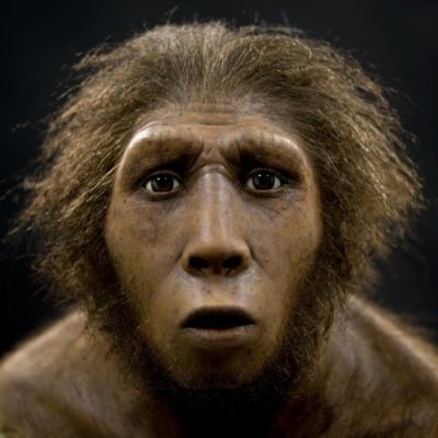 Entrevistando a nuestros antepasados (Homo Erectus)