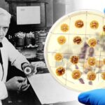 Alexander Fleming