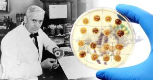 Alexander Fleming