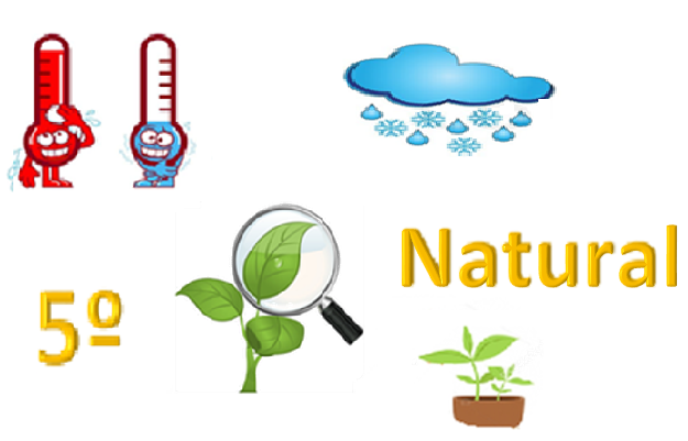 "Quinto natural" 15-01-19