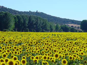 BIENVENIDA PRIMAVERA