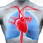 Entrevista a un Padre