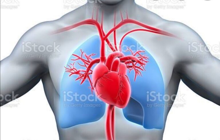 Entrevista a un Padre