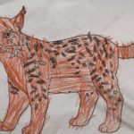 El lince