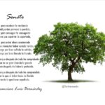 Soneto de Francisco Luis Bernárdez